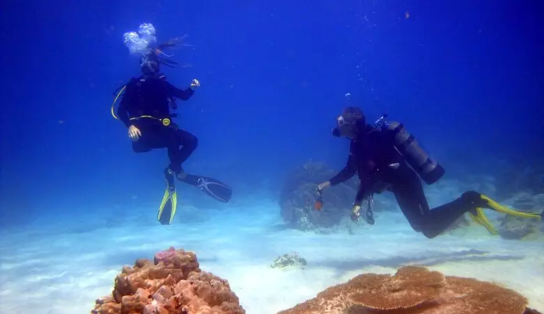 scubaDiving